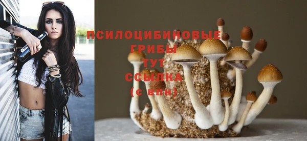 СК Кулебаки