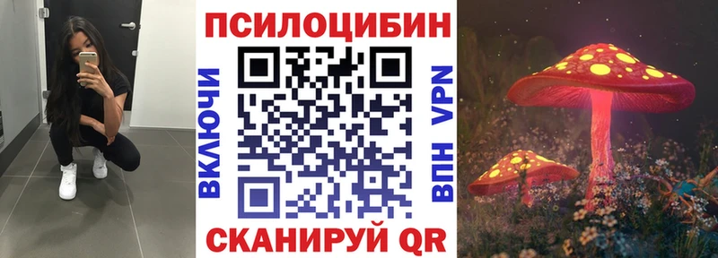 Галлюциногенные грибы Psilocybe  где найти   Тайшет 