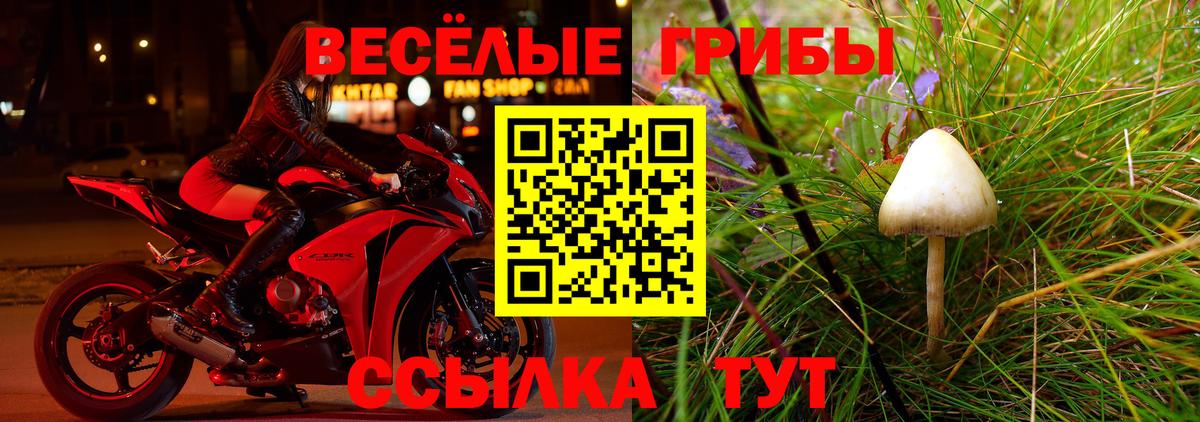 Псилоцибиновые грибы Magic Shrooms  Тайшет 