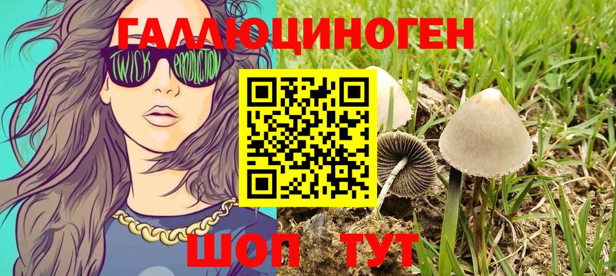 Тайшет  Псилоцибиновые грибы мухоморы  Псилоцибиновые грибы мухоморы  Вход с VPN 