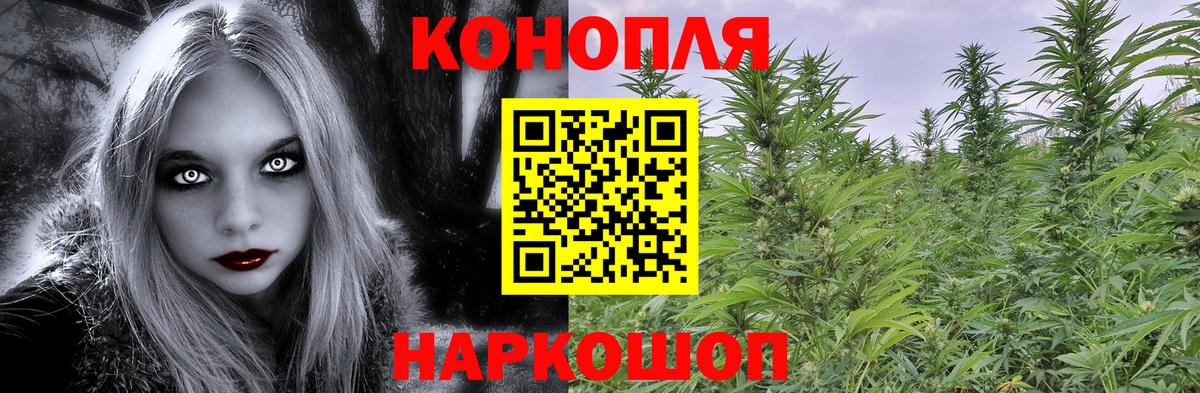 Марихуана гибрид  Каннабис AK-47  Тайшет  МАРИХУАНА планчик  Марихуана план 